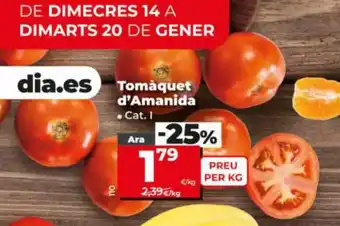 Dia Tomàquet d'Amanida oferta