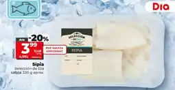 Dia SELECCIÓN DE DIA Sípia oferta