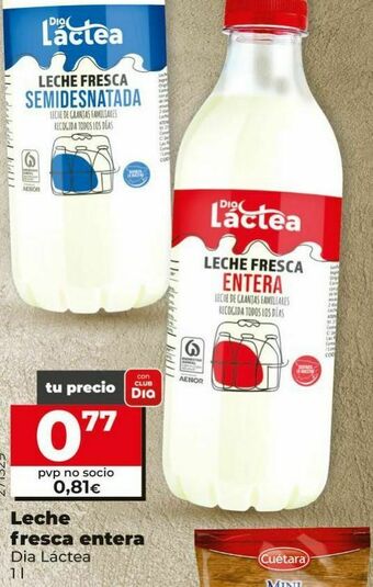 Dia Leche fresca entera oferta