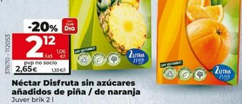 Dia Néctar juver oferta