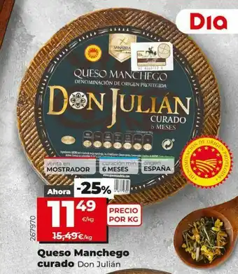 Dia Queso manchego curado oferta