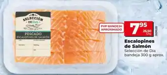 Dia Seleccion de dia - escalopines de salmón oferta