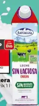 Dia Asturiana - leche sin lactosa entera oferta