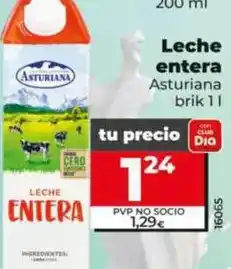 Dia Asturiana - leche entera oferta