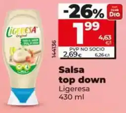 Dia Ligeresa - salsa top down oferta