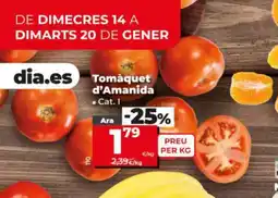 Maxi Dia Tomàquet d'Amanida oferta