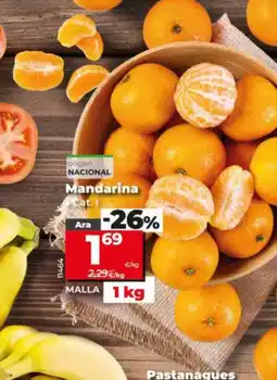 Maxi Dia Mandarina oferta