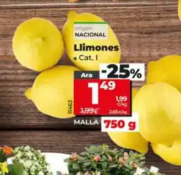 Maxi Dia Llimones oferta