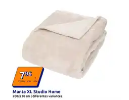 Action Manta XL Studio Home 200x220 cm oferta