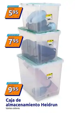 Action Caja de almacenamiento Heidrun oferta