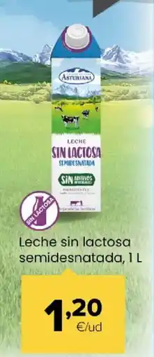 Autoservicios Familia ASTURIANA Leche sin lactosa semidesnatada oferta