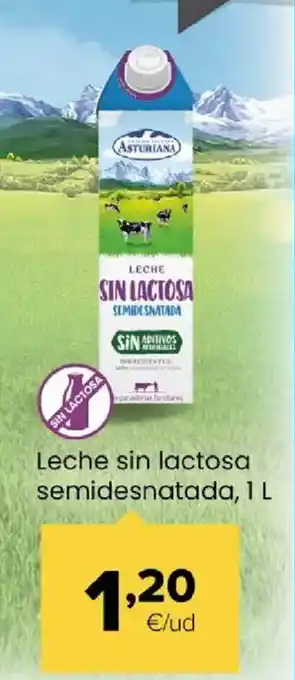Autoservicios Familia ASTURIANA Leche sin lactosa semidesnatada oferta