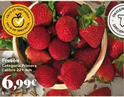 Gadis Fresón oferta