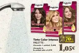 Gadis Palette - tinte color intenso oferta