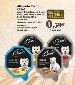 Gadis CESAR Alimento Perro oferta