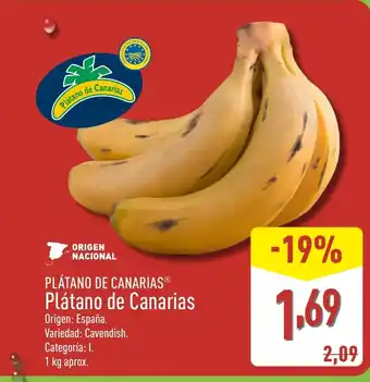 PLÁTANO DE CANARIAS Plátano de Canarias