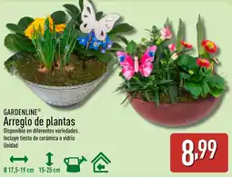 ALDI GARDENLINE Arreglo de plantas oferta