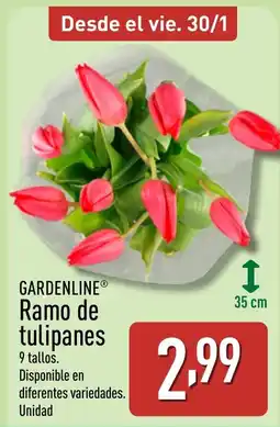ALDI GARDENLINE Ramo de tulipanes oferta