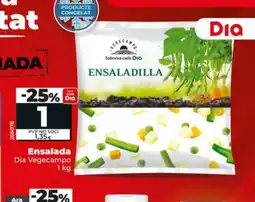 Dia DIA VEGECAMPO Ensalada oferta