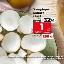 Dia Xampinyó Sencer oferta