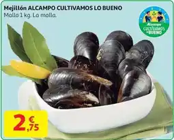 Alcampo Alcampo - mejillon cultivamos lo bueno oferta