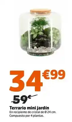 Jardiland Terrario mini jardín oferta