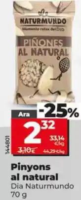 Dia Dia naturmundo - piñones al natural oferta
