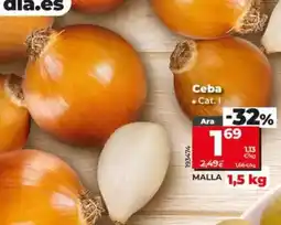 Dia Cebolla malla 1,5 kg oferta