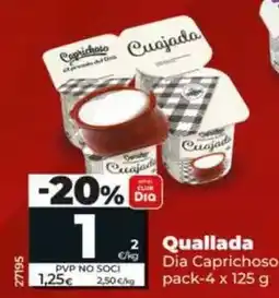 Dia Dia caprichoso - cuajada oferta