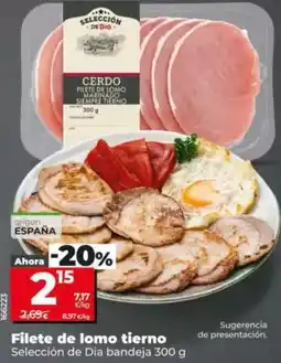 Dia Seleccion de dia - filete de lomo tierno bandeja 300 g oferta