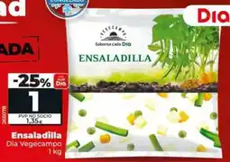 Dia Dia vegecampo - ensaladilla 1 kg oferta