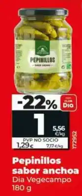 Dia Dia vegecampo - pepinillos sabor anchoa 180 g oferta