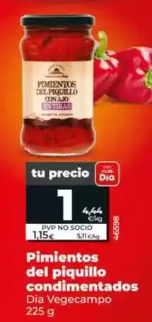 Dia Dia vegecampo - pimientos del piquillo condimentados 225 g oferta