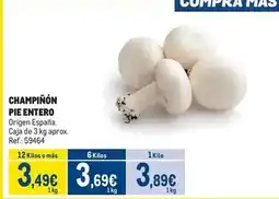 Makro Champinon pie entero oferta