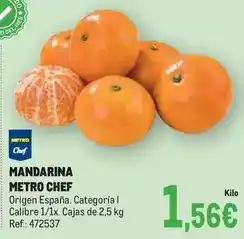 Makro Metro chef - mandarina oferta
