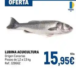 Makro Lubina acuicultura oferta