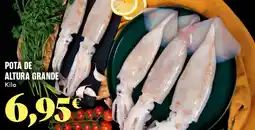 Gadis Pota de altura grande oferta