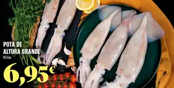 Pota de altura grande