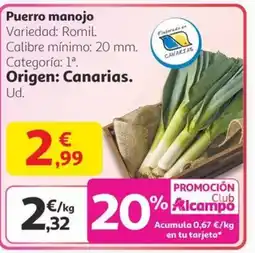 Alcampo Puerro manojo oferta