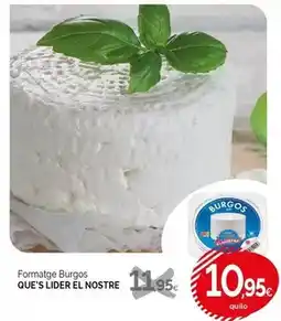 Condis Que's lider - el nostre oferta
