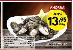 FROIZ Almeja japonesa oferta