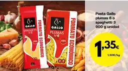 FROIZ Gallo - pasta oferta