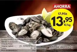 FROIZ Vivó - almeja japonesa oferta