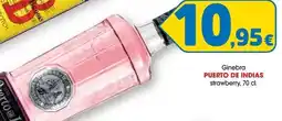 TOP Cash & Carry Puerto de indias - ginebra strawberry oferta