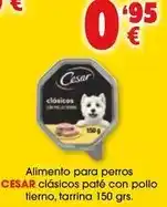 TOP Cash & Carry Cesar - alimento para perros clasicos paté con pollo tierno, tarrina oferta