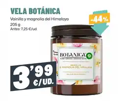 AhorraMas BOTÁNICA Vela oferta