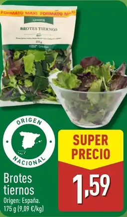 ALDI Brotes tiernos oferta