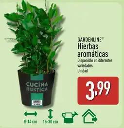 ALDI GARDENLINE Hierbas aromáticas oferta