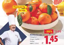Lidl Mandarina caja oferta