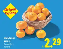 Lidl Mandarina granel oferta
